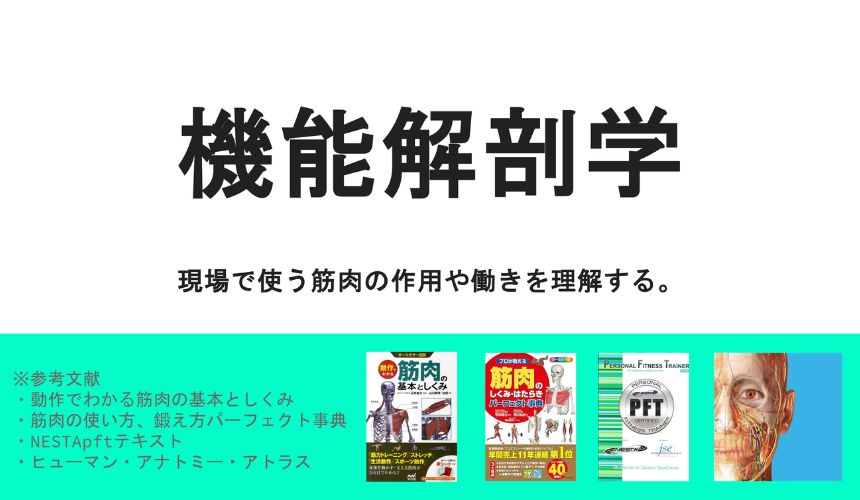 機能解剖学